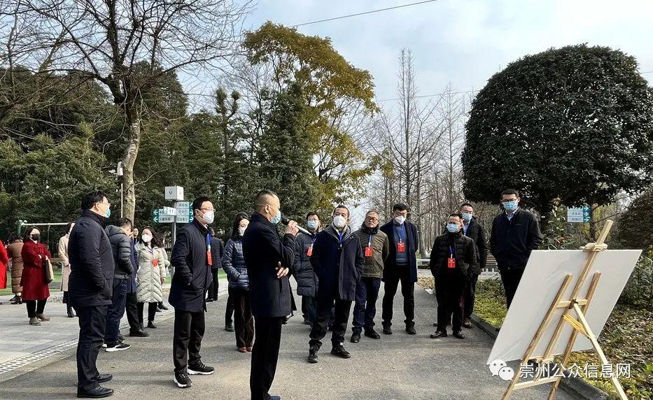 崇阳县计生委最新项目进展及未来展望