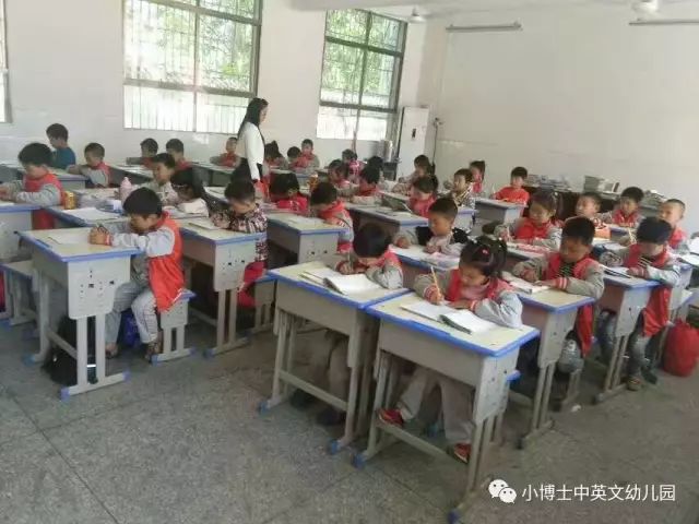 康保县小学最新招聘启事全览