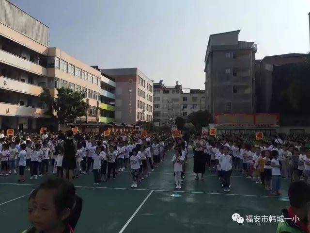 福安市小学发展规划概览，未来教育新蓝图