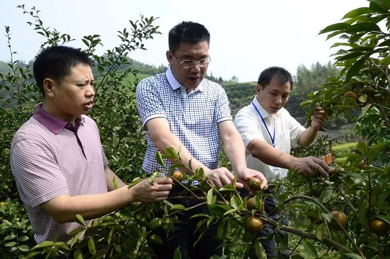 龙胜各族自治县司法局领导最新概况简介