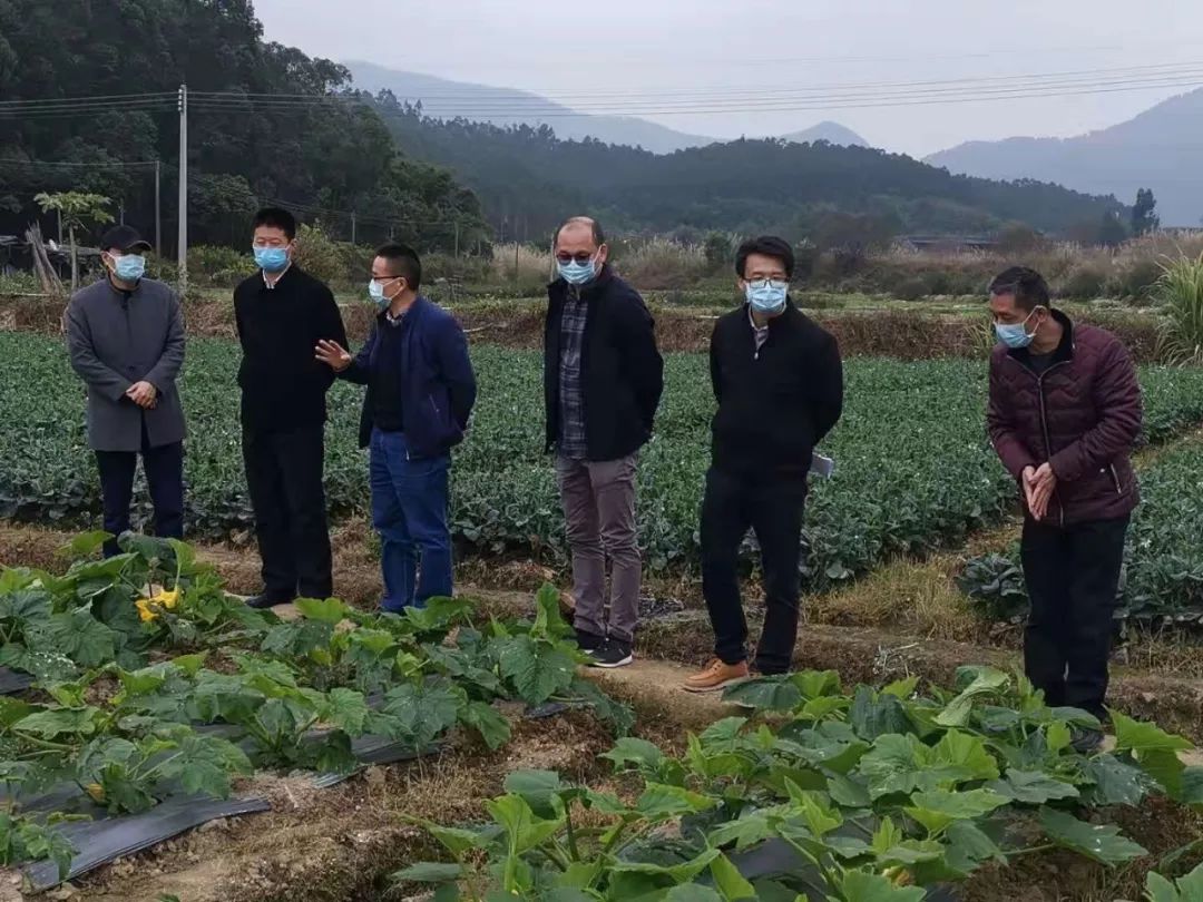 蓬江区农业农村局新项目推动农业现代化，乡村振兴再添新动力