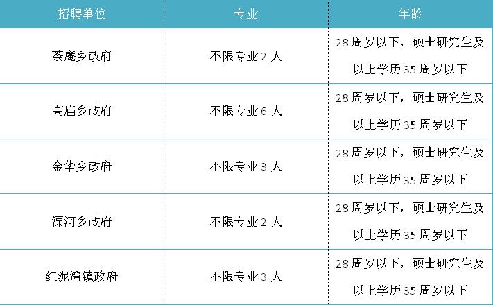 宛城区审计局最新招聘信息概览