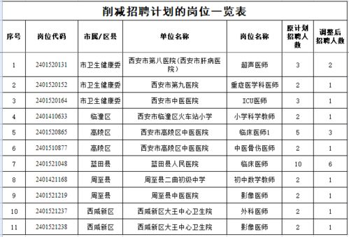 宁安市级托养福利事业单位发展规划展望