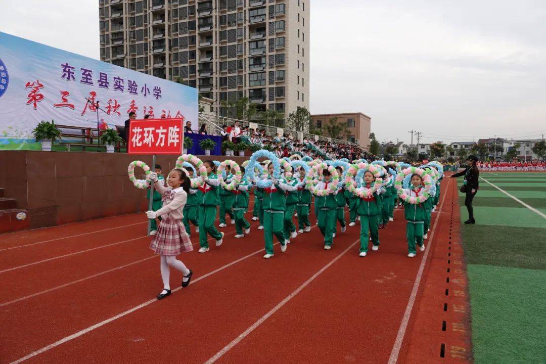 东至县小学最新项目，开启现代教育新篇章探索