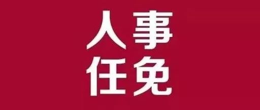 阜康市审计局人事任命启动新篇章，推动审计事业持续发展