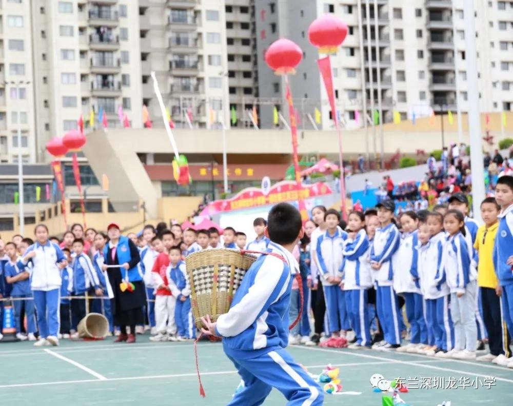 东兰县小学发展规划概览