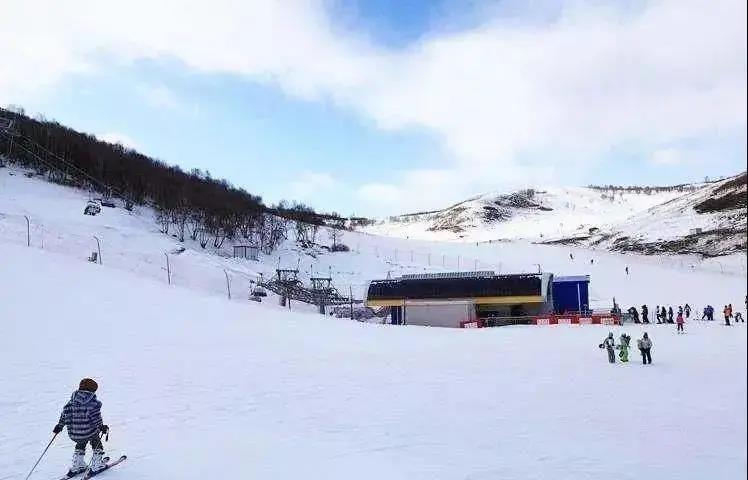 芙蓉村最新天气预报概览